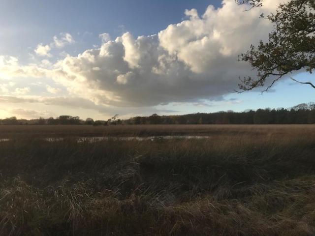De Deelderij, Schoonloo, The Netherlands
