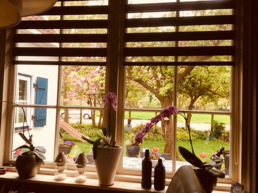 B&B Marialin, Wijdewormer, The Netherlands