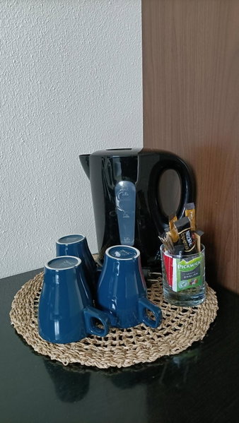 Hotel Rozenburg, Rozenburg, The Netherlands