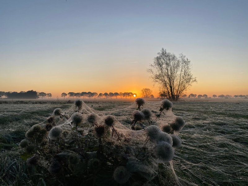 Roer, huisje aan de Maas, Maren-Kessel, The Netherlands