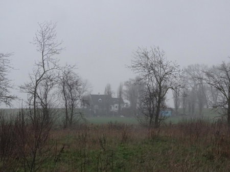 Roer, huisje aan de Maas, Maren-Kessel, The Netherlands