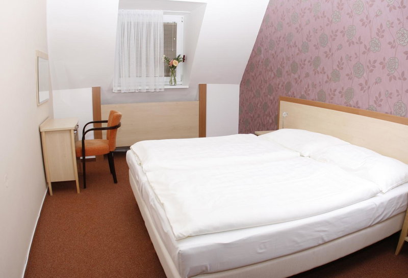 Wellness Hotel Diana, Velké Losiny, Czechia