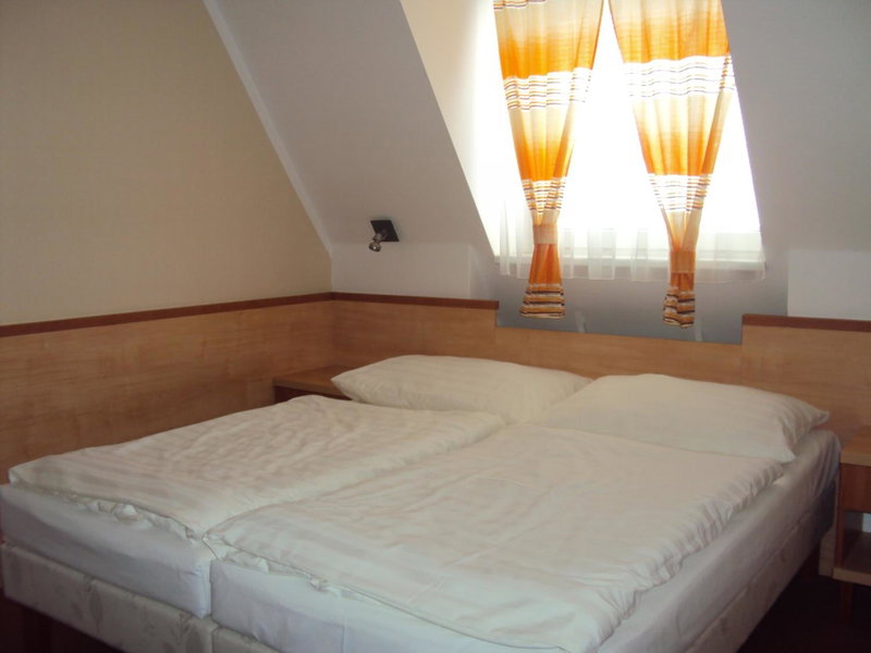 Wellness Hotel Diana, Velké Losiny, Czechia
