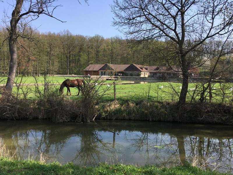 Bučický mlýn, Rožďalovice, Czechia