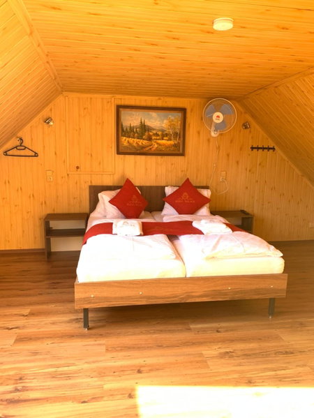 Pension VIDHOUS 2, Františkovy Lázně, Czechia