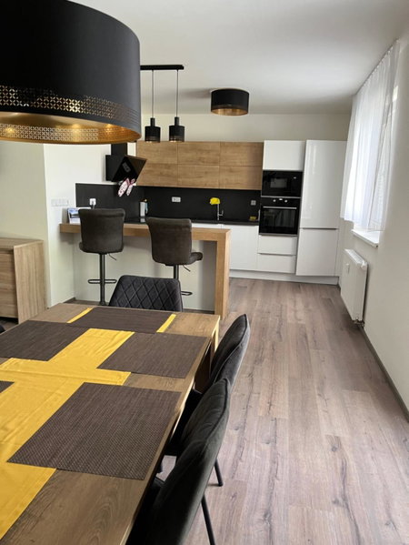Nový Apartmán v areálu Wellness hotelu Frymburk, Frymburk, Czechia