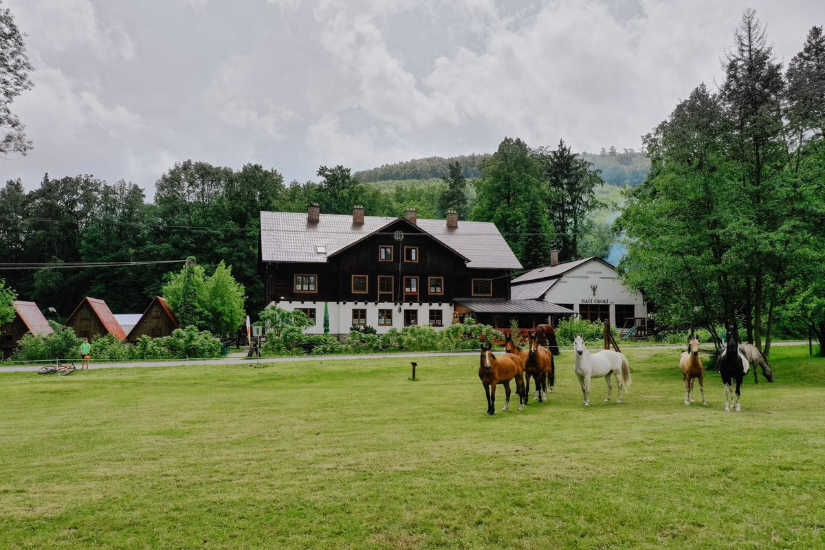 Hotel · Penzion Račí údolí, Javorník