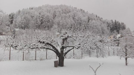Ubytování Lumik, Jeseník, Czechia