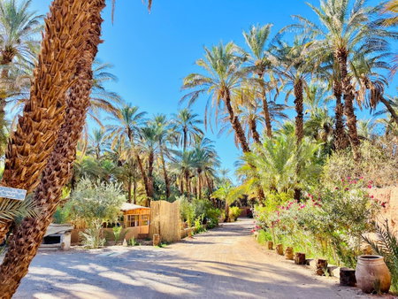 Camping auberge palmeraie d'amezrou, Zagora, Morocco