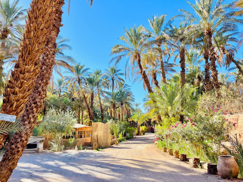 Camping auberge palmeraie d'amezrou, Zagora, Morocco