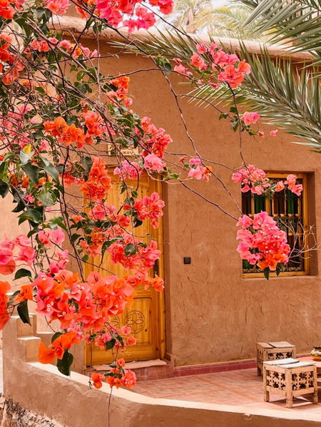 Camping auberge palmeraie d'amezrou, Zagora, Morocco