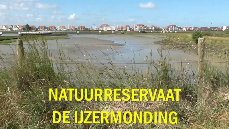 Studio De Zunneblomme, Middelkerke, Belgium