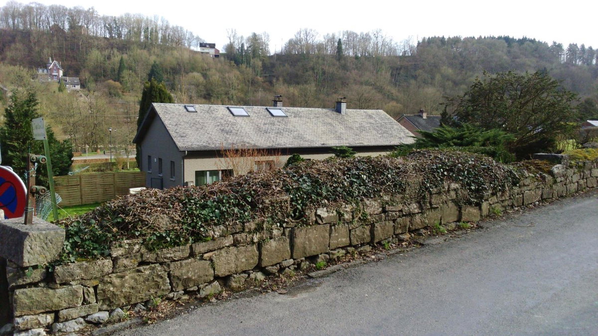 La Tulipe, Belgium