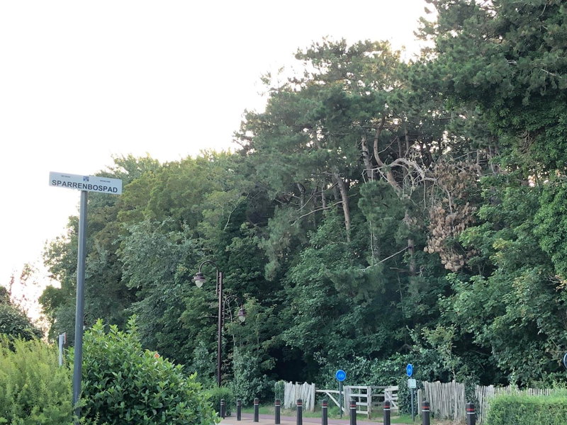 ‘t Ziltebos, Wenduine, Belgium