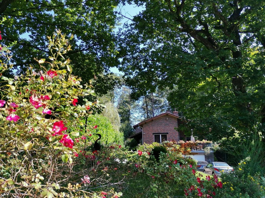 Les Sittelles - Tilff, Esneux, Belgium