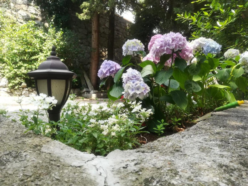 Apartments Darinka, Opatija, Croatia