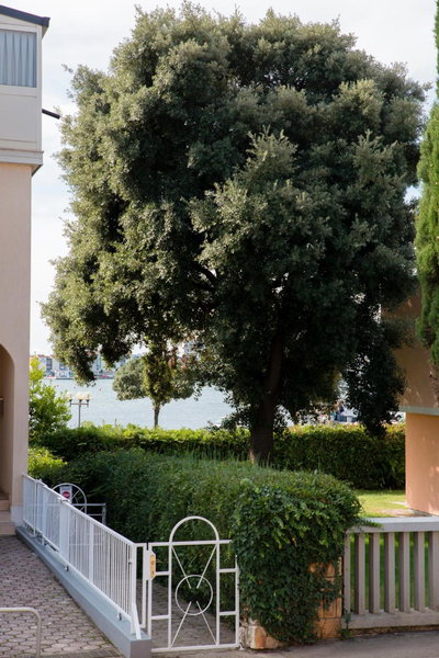 Apartments Villa Nona, Umag, Croatia