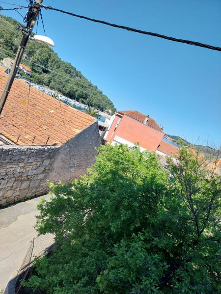 Boris, Vela Luka, Croatia