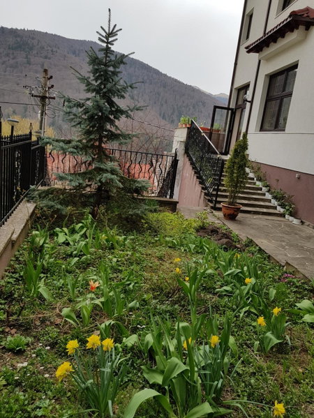 Pensiunea TV Condor, Sinaia, Romania