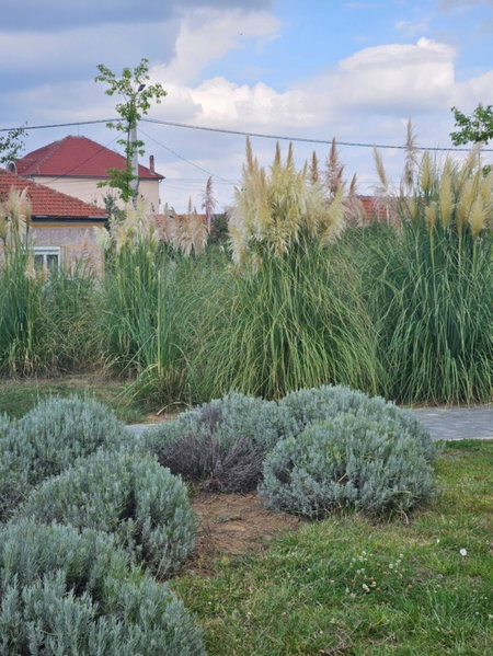 Iosia Premium Apartment, Oradea, Romania