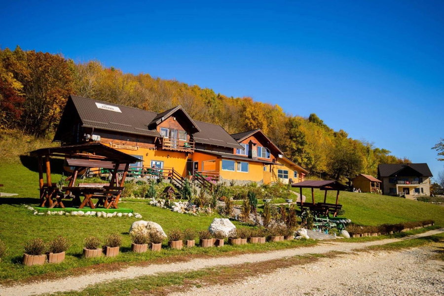 Dumbrava Ursului, Zărneşti, Romania