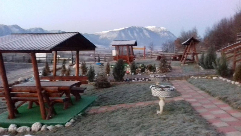 Dumbrava Ursului, Zărneşti, Romania
