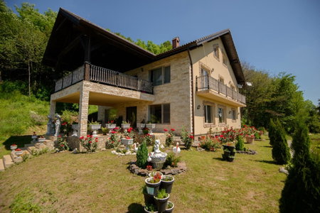 Dumbrava Ursului, Zărneşti, Romania
