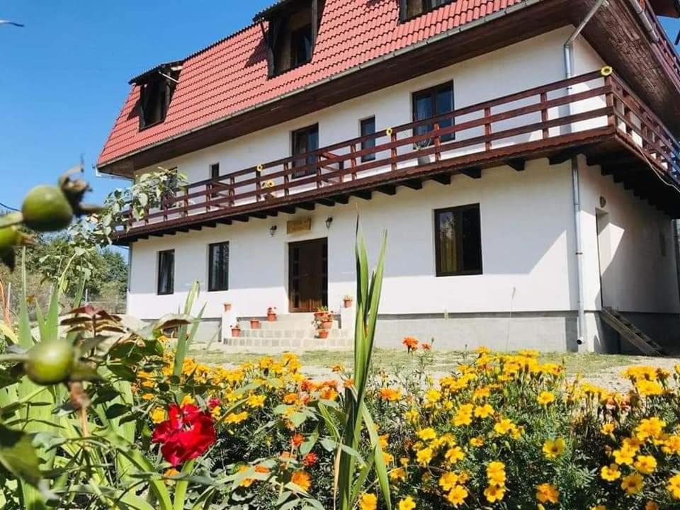 Vila Eivissa, Румыния