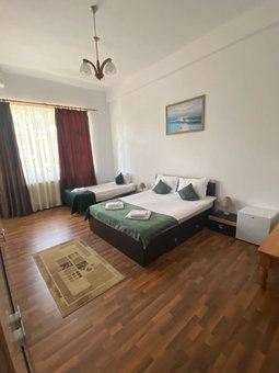 Pensiunea Viena, Târgu-Mureş, Romania