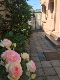 Bucharest Center Villa by ACME RENT, Bucharest, Romania