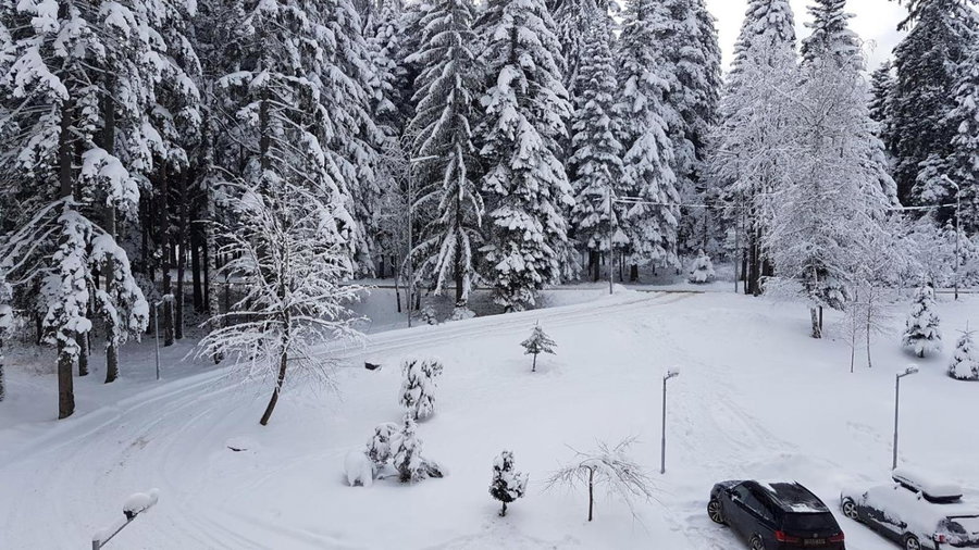 Borovest Garden., Borovets, Bulgaria
