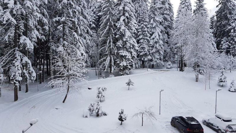 Borovest Garden., Borovets, Bulgaria