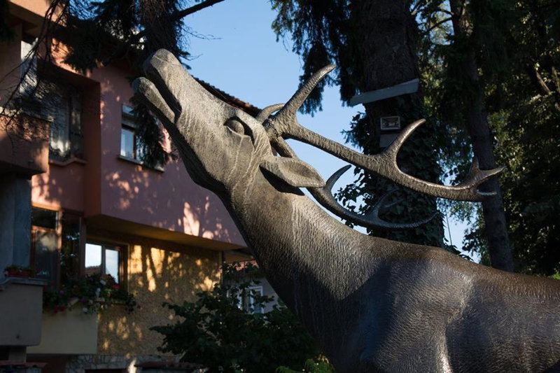 Guest House Elena, Velingrad, Bulgaria
