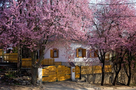 Antalóczy Vendégház, Tokaj, Hungary