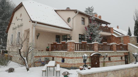 Paulay Borház és Vendégház, Tokaj, Hungary