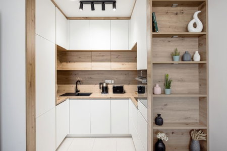 Walnut Tree Apartment, Budapest, Hungary
