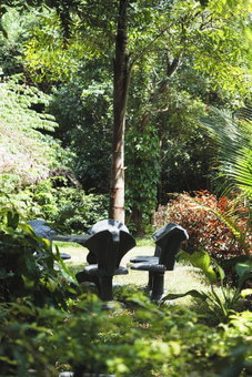 Sundaras Family Suites, Dambulla, Sri Lanka