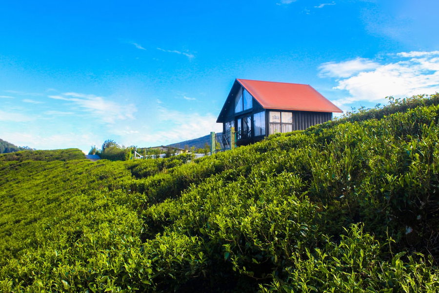 The Blackberry Cottage, Nuwara Eliya, Sri Lanka