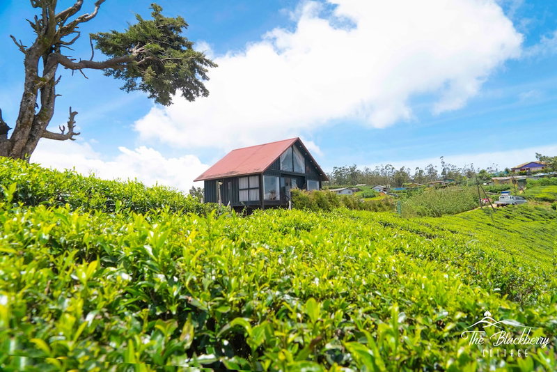 The Blackberry Cottage, Nuwara Eliya, Sri Lanka