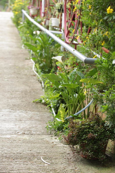 Starview Villa Dalat, Da Lat, Vietnam