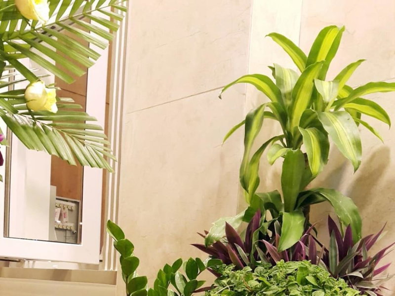 Hong Mai Hotel, Cam Lam, Vietnam