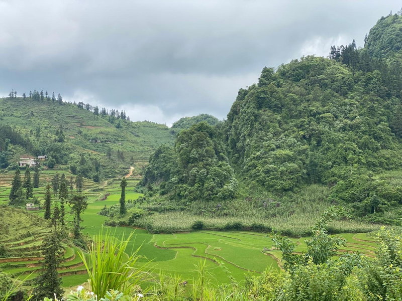 Lagom Bắc Hà Farmstay, Lao Cai, Vietnam