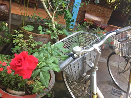 Jardin Du Mekong Homestay, Cho Lach, Vietnam