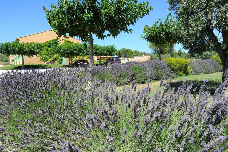 Hotel Terriciaë aux portes de Maussane les Alpilles, Mouriès, France