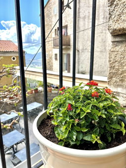 Hôtel Restaurant U Santa Maria, Olmeto, France