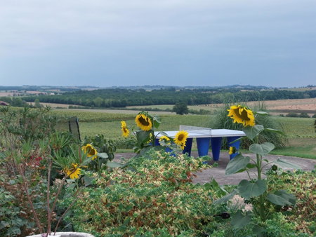 Domaine des Cadets de Gascogne, Pauilhac, France