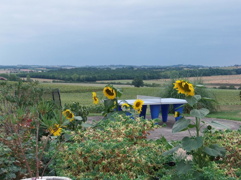 Domaine des Cadets de Gascogne, Pauilhac, France