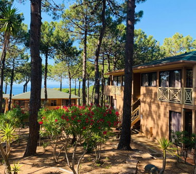 Résidence Les Pins, Calvi, France
