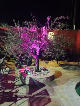 Auberge Les Galets Hotel Restaurant, Peyruis, France