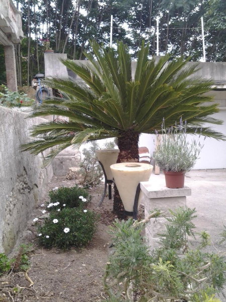 Villa Bellabé, Nice, France